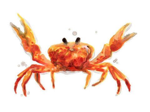 Crab Cameo II White Modern Wood Framed Art Print with Double Matting by Vess, June Erica