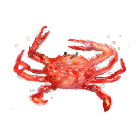 Crab Cameo IV White Modern Wood Framed Art Print by Vess, June Erica