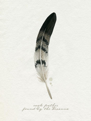 Found Feather I White Modern Wood Framed Art Print with Double Matting by Popp, Grace