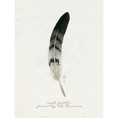 Found Feather I Black Modern Wood Framed Art Print with Double Matting by Popp, Grace