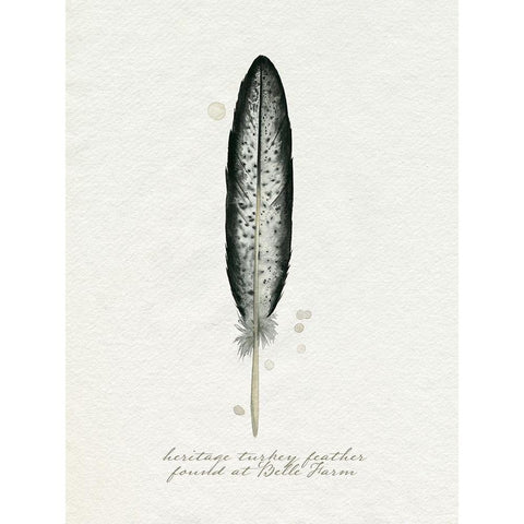 Found Feather II Gold Ornate Wood Framed Art Print with Double Matting by Popp, Grace