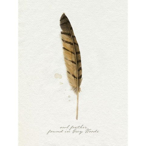 Found Feather III Black Modern Wood Framed Art Print by Popp, Grace