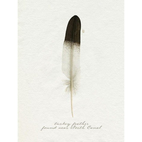 Found Feather IV White Modern Wood Framed Art Print by Popp, Grace