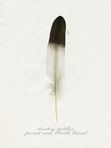 Found Feather IV White Modern Wood Framed Art Print with Double Matting by Popp, Grace