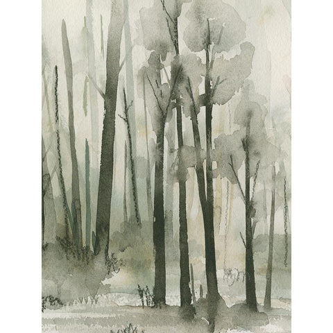 Into the Woods III Black Modern Wood Framed Art Print with Double Matting by Caroline, Emma