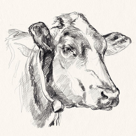 Holstein Portrait Sketch I Black Modern Wood Framed Art Print with Double Matting by Parker, Jennifer Paxton