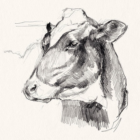 Holstein Portrait Sketch II White Modern Wood Framed Art Print with Double Matting by Parker, Jennifer Paxton