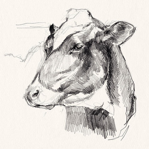 Holstein Portrait Sketch II White Modern Wood Framed Art Print by Parker, Jennifer Paxton