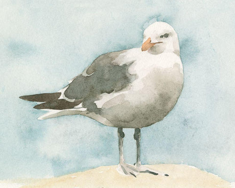 Simple Seagull I Black Ornate Wood Framed Art Print with Double Matting by Caroline, Emma