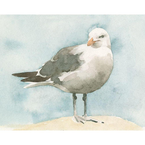 Simple Seagull I Black Modern Wood Framed Art Print by Caroline, Emma