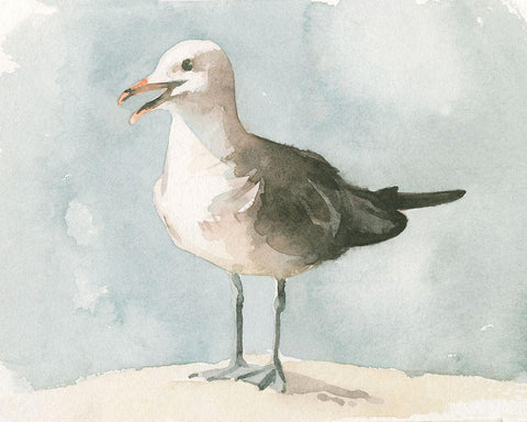 Simple Seagull II Black Ornate Wood Framed Art Print with Double Matting by Caroline, Emma