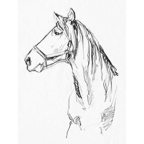 Bridle Portraits I White Modern Wood Framed Art Print by Parker, Jennifer Paxton