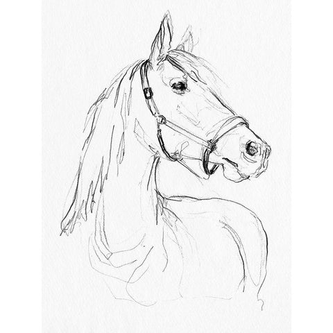 Bridle Portraits II Black Modern Wood Framed Art Print with Double Matting by Parker, Jennifer Paxton