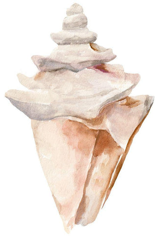 Seashell III White Modern Wood Framed Art Print with Double Matting by Warren, Annie