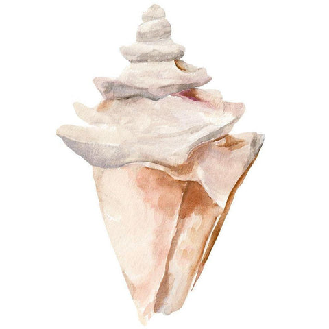 Seashell III Black Modern Wood Framed Art Print by Warren, Annie