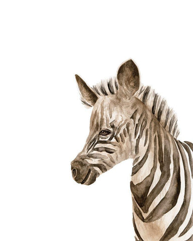 Safari Animal Portraits IV White Modern Wood Framed Art Print with Double Matting by Wang, Melissa