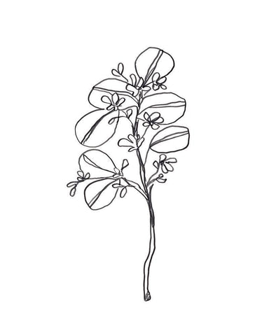 Leaf Sprig II White Modern Wood Framed Art Print with Double Matting by Vess, June Erica