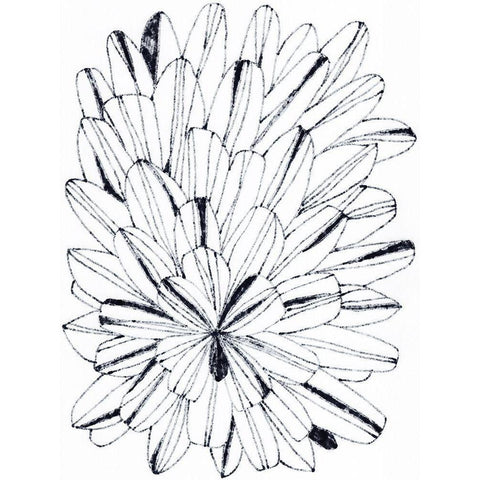 Monochrome Kaleidoscope I Black Modern Wood Framed Art Print with Double Matting by Vess, June Erica