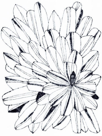 Monochrome Kaleidoscope II Black Ornate Wood Framed Art Print with Double Matting by Vess, June Erica