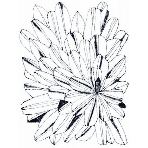 Monochrome Kaleidoscope II Black Modern Wood Framed Art Print by Vess, June Erica