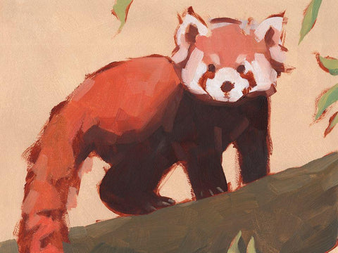 Red Panda I Black Ornate Wood Framed Art Print with Double Matting by Green, Jacob