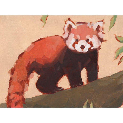 Red Panda I Black Modern Wood Framed Art Print by Green, Jacob