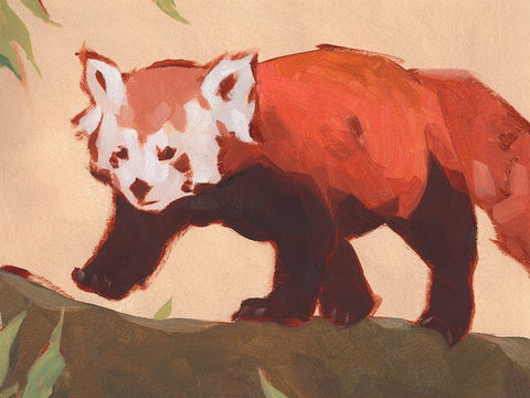 Red Panda II Black Ornate Wood Framed Art Print with Double Matting by Green, Jacob