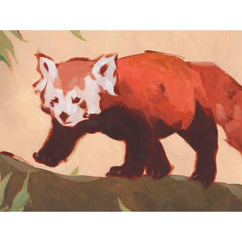 Red Panda II Black Modern Wood Framed Art Print by Green, Jacob