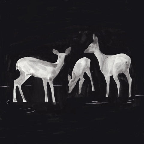 Sophisticated Whitetail I Black Modern Wood Framed Art Print with Double Matting by Green, Jacob