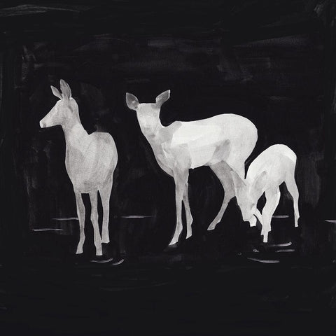 Sophisticated Whitetail II Black Modern Wood Framed Art Print with Double Matting by Green, Jacob