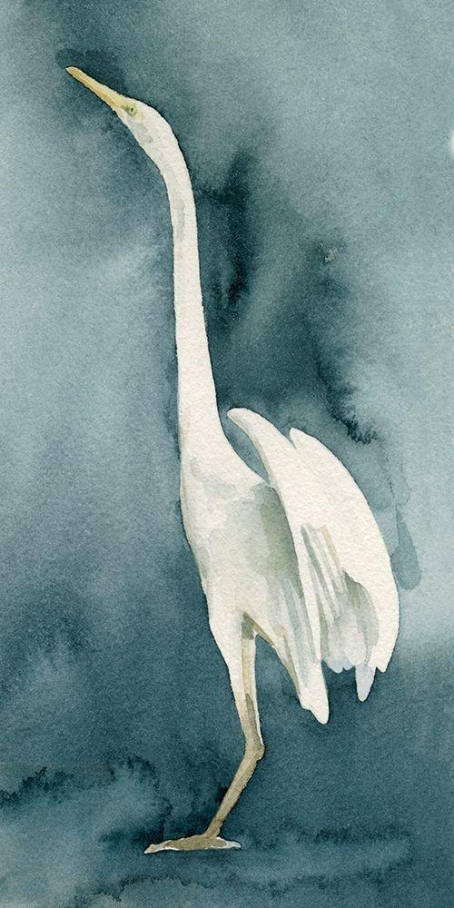 Image Only
