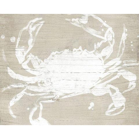 Weathered Crab I White Modern Wood Framed Art Print by Vess, June Erica