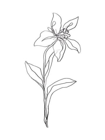 Simple Daffodil I White Modern Wood Framed Art Print with Double Matting by Vess, June Erica