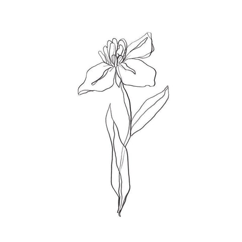 Simple Daffodil II Black Modern Wood Framed Art Print with Double Matting by Vess, June Erica