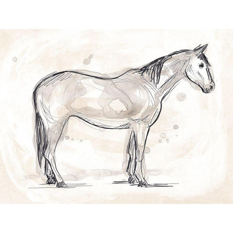 Vintage Equine Sketch II Black Modern Wood Framed Art Print by Vess, June Erica