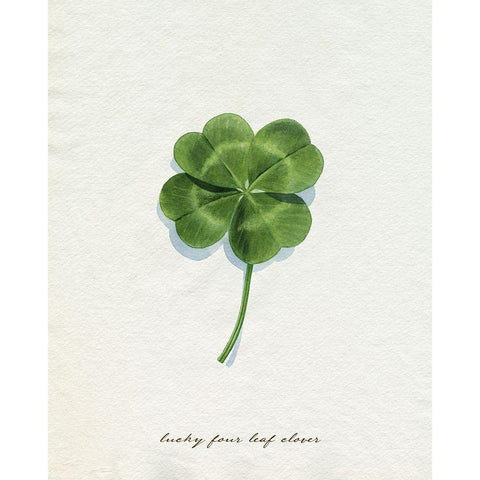 Lucky Charm I White Modern Wood Framed Art Print by Popp, Grace