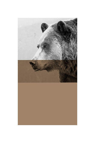 Geo Bear White Modern Wood Framed Art Print with Double Matting by Jasper, Sisa