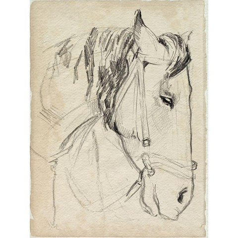 Horse in Bridle Sketch I White Modern Wood Framed Art Print by Parker, Jennifer Paxton