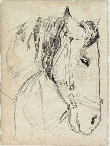 Horse in Bridle Sketch I White Modern Wood Framed Art Print with Double Matting by Parker, Jennifer Paxton