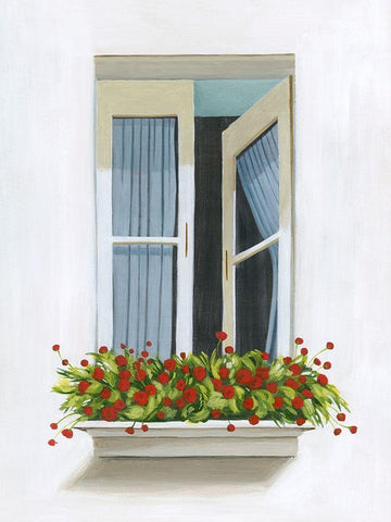 Through the Drapes I White Modern Wood Framed Art Print with Double Matting by Popp, Grace