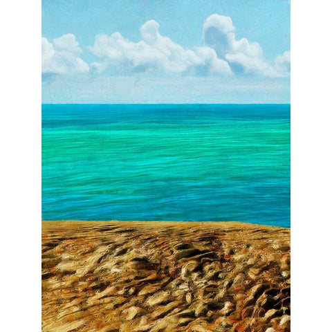 Rocky Beachside I Gold Ornate Wood Framed Art Print with Double Matting by Saunders, Alonzo