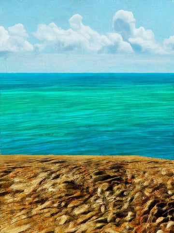 Rocky Beachside I White Modern Wood Framed Art Print with Double Matting by Saunders, Alonzo