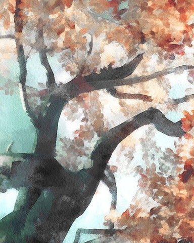 Fall Tree I Black Ornate Wood Framed Art Print with Double Matting by Saunders, Alonzo