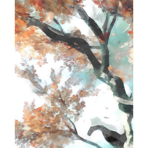 Fall Tree II Black Modern Wood Framed Art Print by Saunders, Alonzo