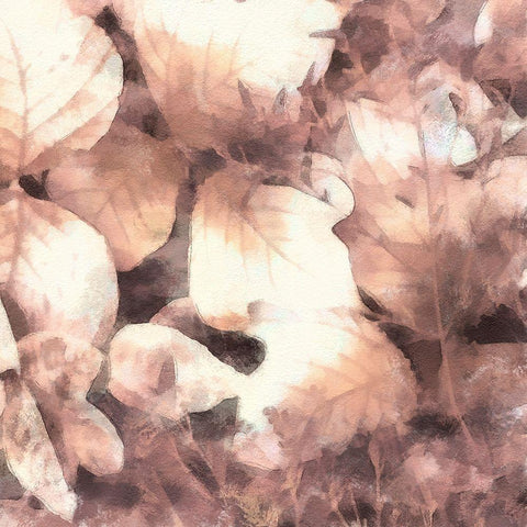 Blush Shaded Leaves IV Gold Ornate Wood Framed Art Print with Double Matting by Saunders, Alonzo