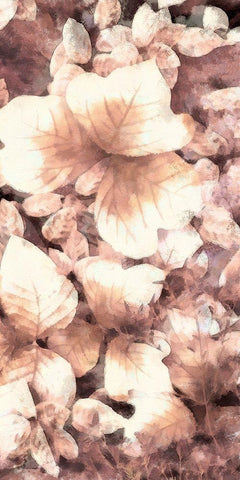 Blush Shaded Leaves V Black Ornate Wood Framed Art Print with Double Matting by Saunders, Alonzo