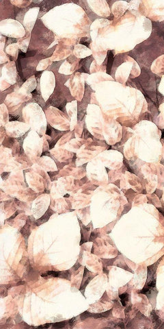 Blush Shaded Leaves VI White Modern Wood Framed Art Print with Double Matting by Saunders, Alonzo