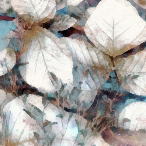 Neutral Summer Leaves I White Modern Wood Framed Art Print with Double Matting by Saunders, Alonzo