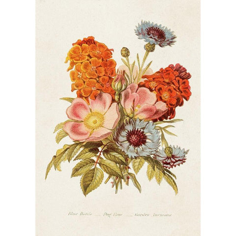 Antique Floral Bouquet II Gold Ornate Wood Framed Art Print with Double Matting by Unknown