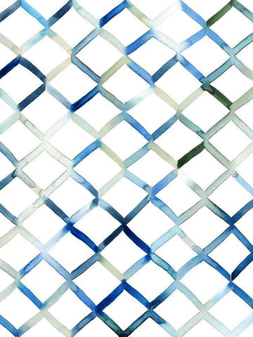 Sea Lattice I White Modern Wood Framed Art Print with Double Matting by Popp, Grace